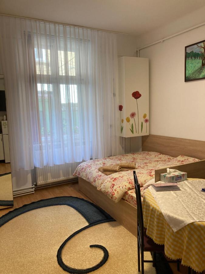 House Centrul Istoric Διαμέρισμα Σίμπιου Εξωτερικό φωτογραφία
